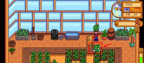 星露谷物语淡啤酒酿造方法(图5) 星露谷物语淡啤酒酿造方法(图5)