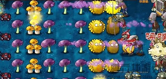 《植物大战僵尸融合版》冒险模式第10关通关攻略(图6) 《植物大战僵尸融合版》冒险模式第10关通关攻略(图6)