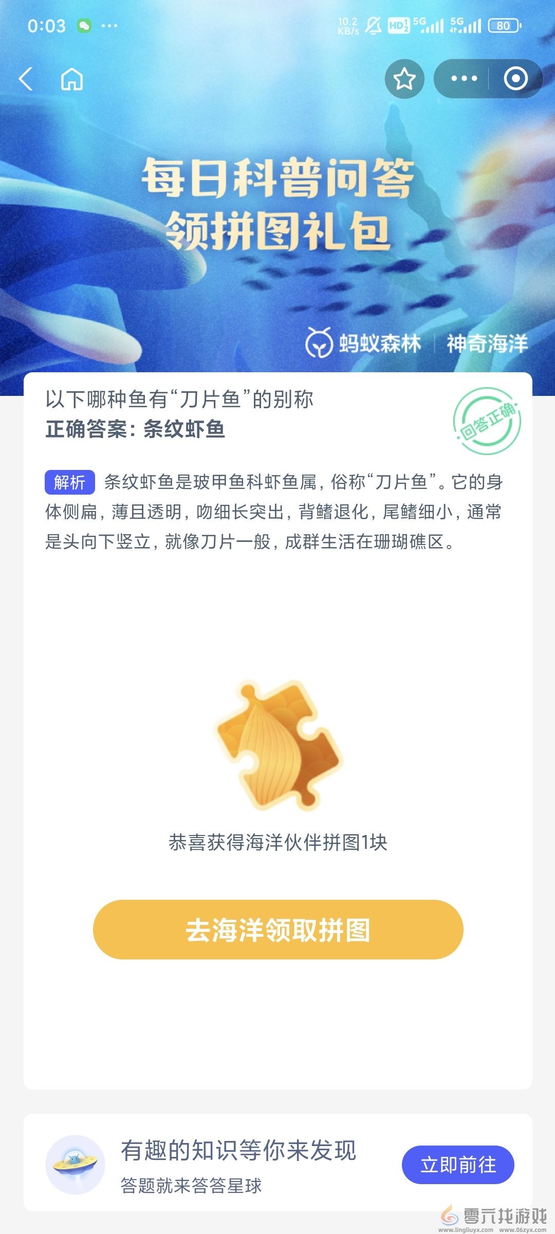 以下哪种鱼有刀片鱼的别称(图2)