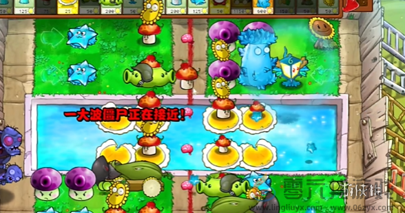 植物大战僵尸杂交版过关斩僵怎么过(图5) 植物大战僵尸杂交版过关斩僵怎么过(图5)