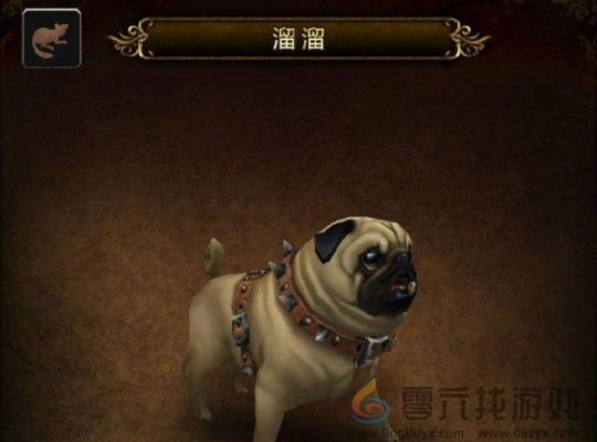 魔兽世界溜溜宠物获取攻略(图2)