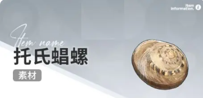 开放空间赶海物什么时候出现(图3)